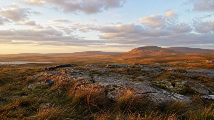 Open landscape in warm seasonal light evoking An Bhliain and the lived rhythm of the Celtic year