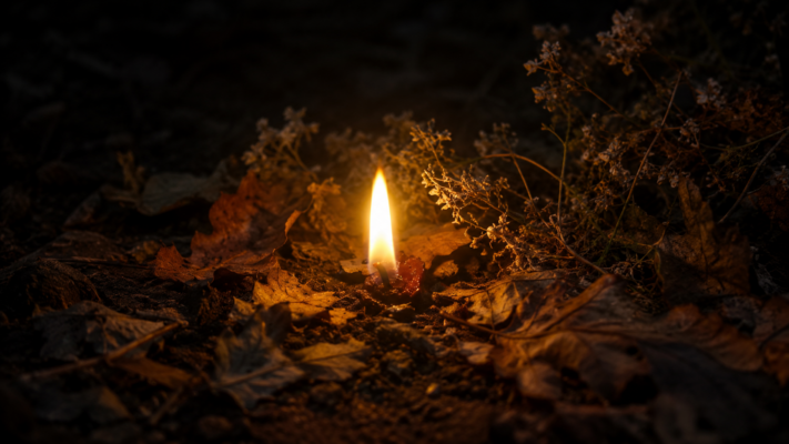 A single flame burning among autumn leaves and dark earth, representing the Celtic fire festival of Samhain and the threshold of the year.